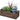 Rectangular Potted Colored Plant