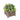 Square Rustic Potted Shrub